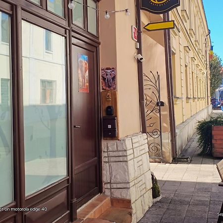Ferienwohnung Elefant Baia Mare Exterior foto