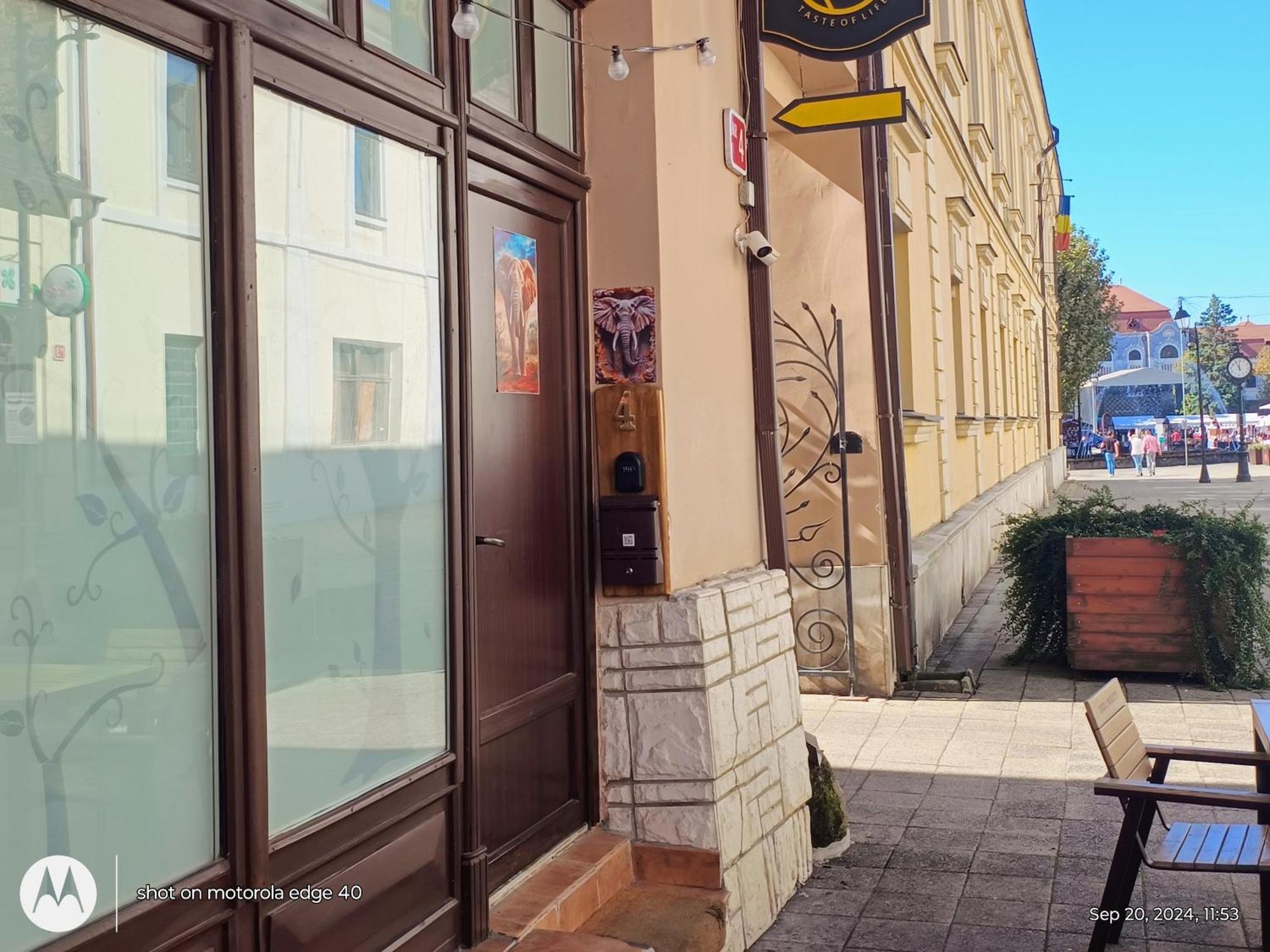 Ferienwohnung Elefant Baia Mare Exterior foto